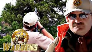 Survival Stories: Tree Stand Fall