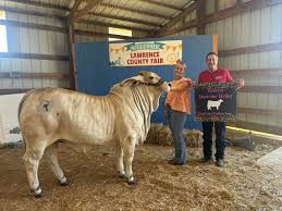 Matheny Acres & Cattle