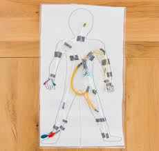 Re Engineering The Circulatory System Biology Engineering Science Activity Exploratorium Teacher Institute Project