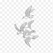 Gambar lukisan adalah tempat terindah yang di berikan oleh sang maha kuasa kepada makhluknya.semua tentang pemandangan ini adalah gambaran betapa indahnya alam yang ada di seluruh dunia. Pigeon Terbang Putih Png Pngegg