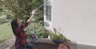 Today we're showing you how to get rid of spiders for good by sharing 17 home remedies to keep them out of the home. Fall Spiders How They Get Inside And How To Get Rid Of Them Wet Forget Blog