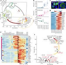 Check spelling or type a new query. Reconstitution Of The Oocyte Transcriptional Network With Transcription Factors Nature
