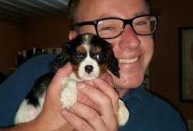 Companionpetskendall.com