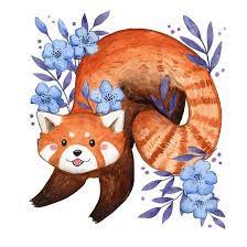 Red Panda Floral Blue Red Panda Blue Art Prints Panda Art