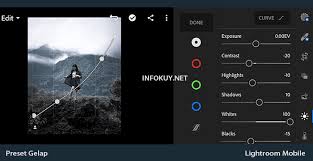 Sekarang, kita akan mencoba edit foto menggunakan rumus atau preset dari lrmobilepreset.site. 3 Rumus Lightroom Gelap Free Preset Gelap Infokuy