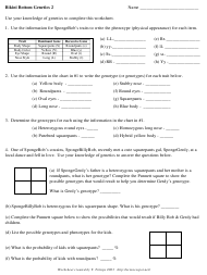 One of spongebob's cousins, spongebillybob, recently met a cute squarepants gal, spongegerdy, at a local dance and fell in love. Bikini Bottom Genetics 2 Worksheet With Answers T Trimpe Download Printable Pdf Templateroller