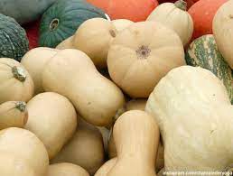 Die Besten 11 Butternut Kurbis Rezepte Zum Nachkochen