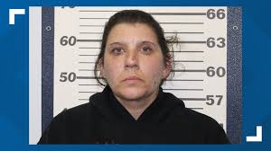 Stolen holiday decorations recovered in Lycoming County