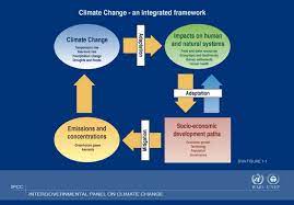 Mitigation And Adaptation In Climate Change Climate Change Mitigation Are Actions To Limit The Magn Climate Change Effects Weather And Climate Systems Biology