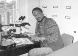 Image result for Brachystegia michelmorei