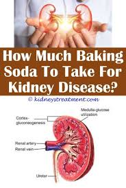 Kidney Disease Support Kidney Disease Cases Kidney Disease Stages Kidney Disease Diet Kidney Disease Symptoms