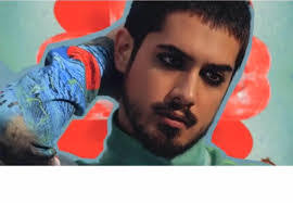 Sandra Driesen's Instagram, Twitter & Facebook