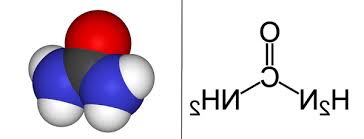 L'alimentation permet de compenser cette perte, mais il faut compléter par une. Quelle Est La Difference Entre Uree Et Acide Urique L Apothicaire