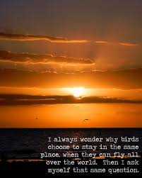 Sunset is the start of something beautiful: Sunsets Quotes Quotesgram
