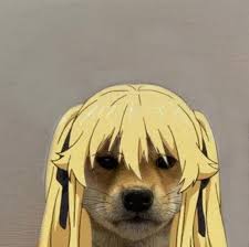 Its probably because i already signed into my google account onto zoom but then i changed. Aesthetic Anime Pfp Funny Novocom Top