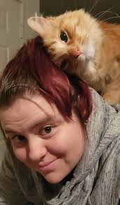 Introduction and photo of bengal cat