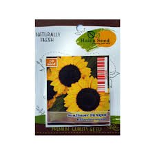 Meski tidak bisa diletakkan di dalam ruangan, karena tanaman ini sangat membutuhkan sinar matahari. Benih Bunga Matahari Sunspot Haira Seed Kemasan Urban Isi 10 Butir Bibit Sun Flower Sunflower Shopee Indonesia