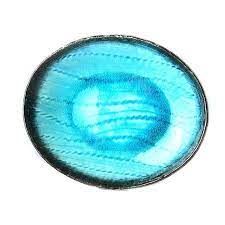 We did not find results for: Made In Japan Sky Blue Oval Plate 24cm Plate Alzashop Com