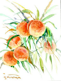 Peach Art Peach Tree Painting Original Watercolor 16 X 12 In Peaches Fruits Kitchen Wall Art Orange Green Oli Peach Art Stretched Canvas Prints Stretch Canvas