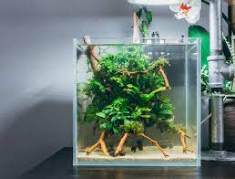 Supaya air dan juga seluruh kotoran didalam aquarium bisa diolah dan diurai dengan maksimal oleh setiap bagian filter tersebut. 10 Pompa Aquarium Bagus Dengan Spesifikasi Terbaik Di Indonesia 2021