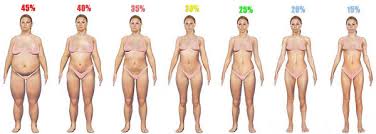Found a 48% reduction in visceral fat, measured by mri, compared to an 18% decrease in subcutaneous fat following an exercise regimen consisting of steady state exercise two days per week and hiie one day a week for 8 weeks in type 2 diabetic men and women. 1 How To Lose Arm Fat In A Week Without Weights Only For Women
