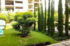 Japanese Gardens In Jubilee Hills Lbb Hyderabad