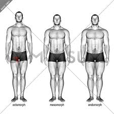 Try the 5 question body male body types vs female body types. Body Type Male