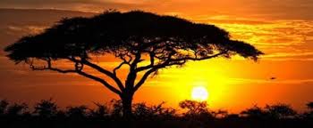 Resultado de imagen de AFRICA