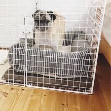 100均DIY】お手軽♡ワイヤーネットで作るペットケージ | 4yuuu