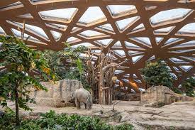 zoo architecture and design archdaily