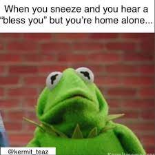See more ideas about kermit, funny, funny kermit memes. 16 Sassy Kermit The Frog Memes We Definitely Didn T Find On The Muppets Memebase Funny Memes