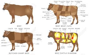 Beef Chart Cuts Of Beef Beef Cuts Diagram Beef Meat Cuts