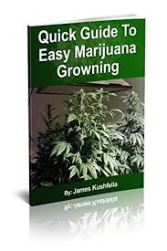 The indoor/outdoor medical grower's bible jorge cervantes is the most trusted name in marijuana cultivation explains all the essential techniques to grow indoors, outdoors and in. Marijuana Growing Guide Pdf