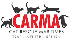 Box 15194, riverside, ri 02915 rescue helping to find loving homes for cats. Carma