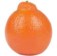 Don't rush peppers into the garden. What Is A Tangelo Orange