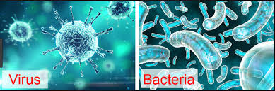 Influenza is a viral infection, not a bacterial infection. 7 Structural Differences Between Bacteria And Virus Comparison Chart Viva Differences