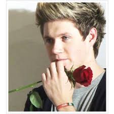 New Rose One Direction Liam Payne Stories