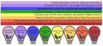 In fact, before this recent trend of led grow lights for indoor gardening purposes, fluorescent lights is what most people used for their soil free hydroponic gardening. Do Led Grow Lights Work Can You Use Regular Led