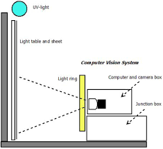 I could lose up to 66. A Light Trap And Computer Vision System To Detect And Classify Live Moths Lepidoptera Using Tracking And Deep Learning Biorxiv
