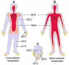 Making informed decisions instead of panicking How To Measure Body Temperature Correctly Using An Infrared Thermometer