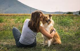 Almeno 33.000 specie di piante e 5.400 specie di animali sono a rischio di estinzione, rischiano cioè di sparire per sempre dalla faccia della terra. Le Malattie Legate Agli Animali Domestici Come Proteggere La Salute Dei Cani E La Nostra Medicalfacts