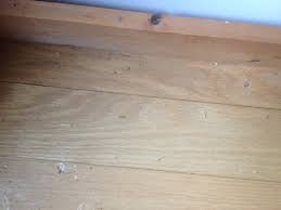 We did not find results for: My Wood Floors Haven T Been Properly Cleaned In 15 Years How Can I Bring Them Back To Life The Washington Post