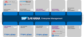 SAP S/4HANA - Frequently Asked Questions - Part 9 ... - SAP Community