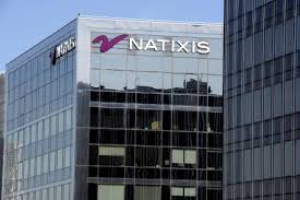 (gestion d'actifs, assurance, banque privée, capital investissement). Natixis
