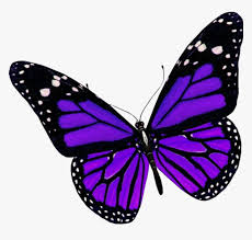 Browse 11,201 purple butterfly stock photos and images available, or search for red spotted purple butterfly or purple butterfly white background to find more great stock photos and pictures. Beauty Butterfly Nature Purple Insect Creative Purple Butterfly Png Transparent Png Transparent Png Image Pngitem