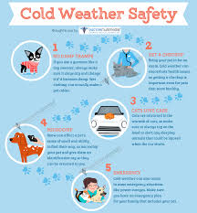 It was a bitterly cold night when david gehrke was driving his. 10 Cold Weather Pet Safety Tips Providence Animal Hospital And Pet Resort