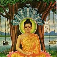 Choose from 57 different sets of flashcards about siddhartha gautama on quizlet. Siddhartha Gautama Siddharthag567 Twitter