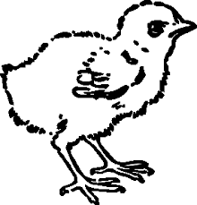 Simple birds coloring page for children. Free Online Pictures Of Birds To Color For Adults And Kids Bird Coloring Pages Penguin Coloring Pages Bird Pictures