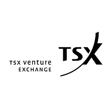 tsx venture exchange wikipedia