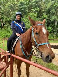 These cookies allow us to count visits, identify traffic sources, and understand how our services are being used so we can measure and improve performance. Horse Riding Ticket Ghrc Ticket2u